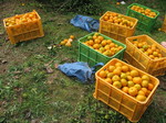 IMG_1255.JPG